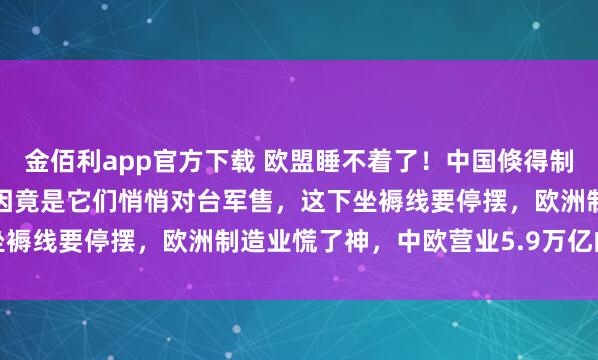 金佰利app官方下载 欧盟睡不着了！中国倏得制裁7家欧洲军工企业，原因竟是它们悄悄对台军售，这下坐褥线要停摆，欧洲制造业慌了神，中欧营业5.9万亿的大生