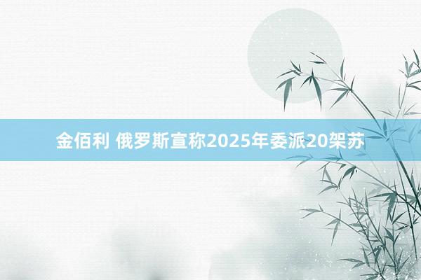金佰利 俄罗斯宣称2025年委派20架苏