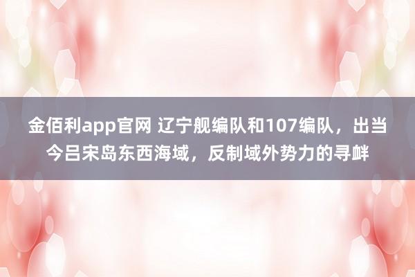 金佰利app官网 辽宁舰编队和107编队，出当今吕宋岛东西海域，反制域外势力的寻衅