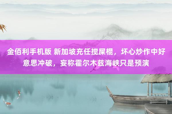 金佰利手机版 新加坡充任搅屎棍，坏心炒作中好意思冲破，妄称霍尔木兹海峡只是预演