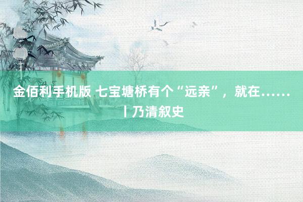 金佰利手机版 七宝塘桥有个“远亲”，就在……丨乃清叙史