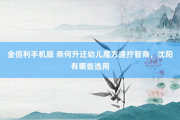 金佰利手机版 奈何升迁幼儿魔方速拧智商，沈阳有哪些选用