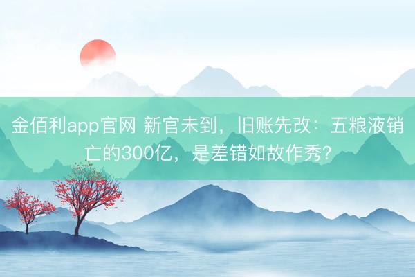 金佰利app官网 新官未到，旧账先改：五粮液销亡的300亿，是差错如故作秀？